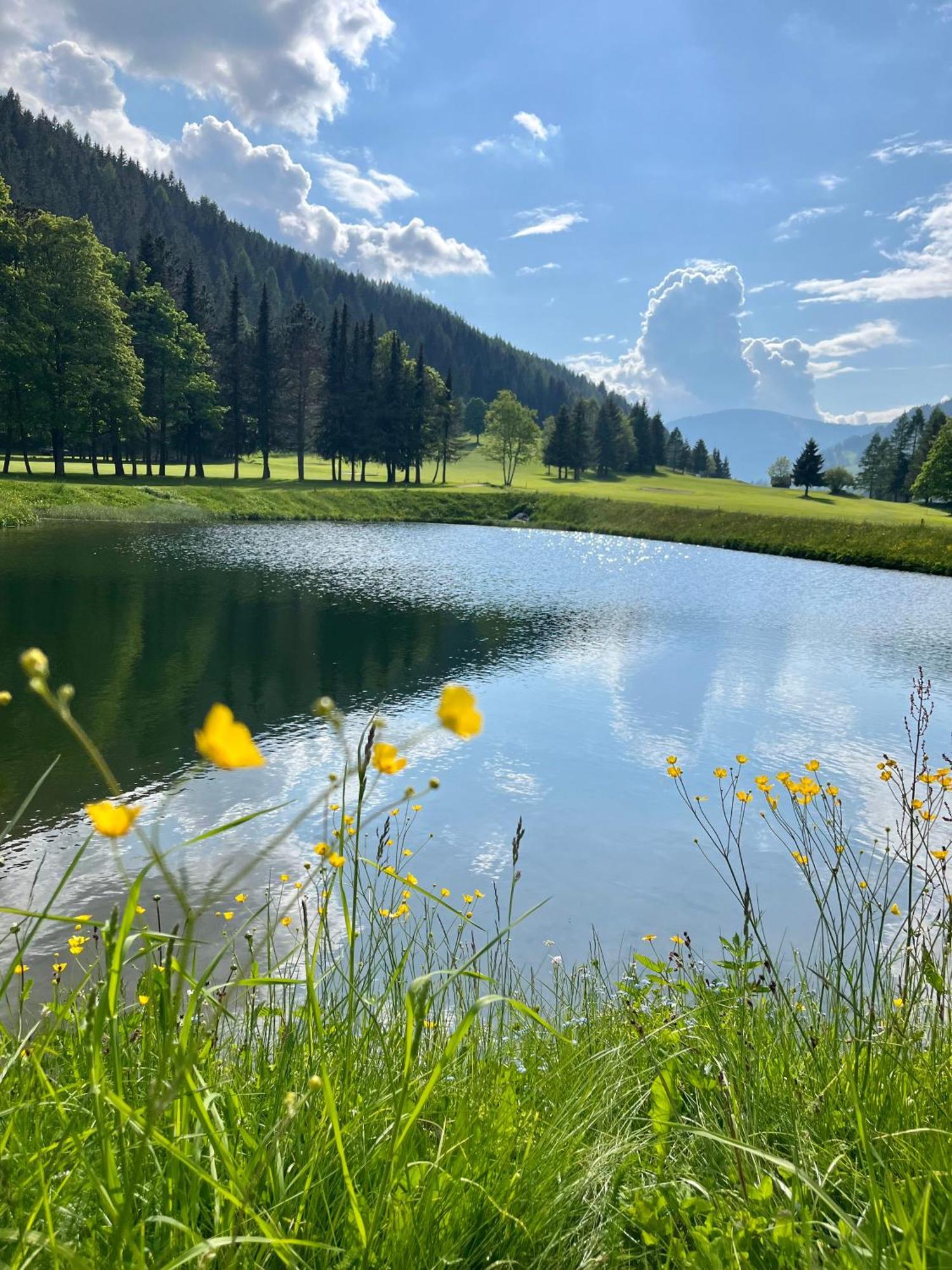 Dualpark Afritz Am See Scherzboden Eksteriør billede